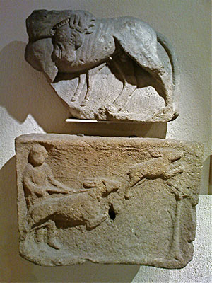 roman dogs